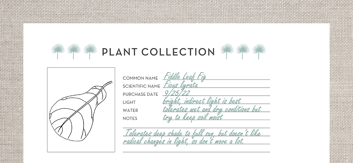 plant-planner-collection-zoom.png