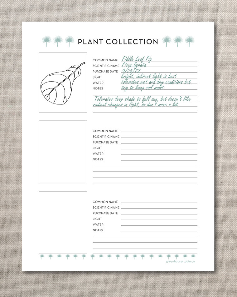 plant-planner-collection-accession-zoom.jpg