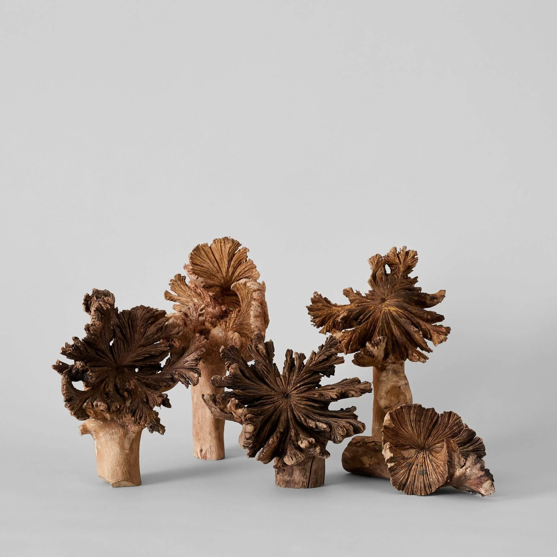 Wood Flower Sculpture, Bloomist