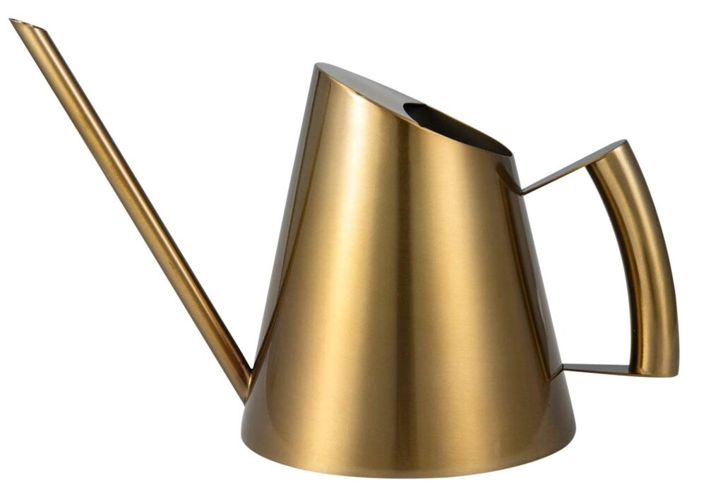 Stainless &amp; Brass Watering Can, Amazon
