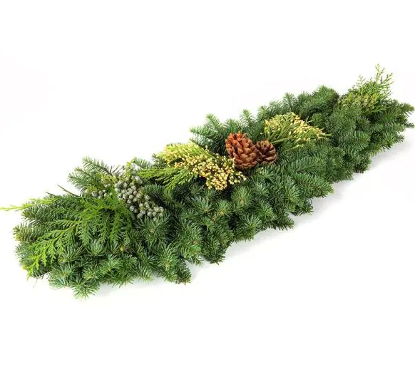 Live Pacific Northwest Classic Holiday Garland 