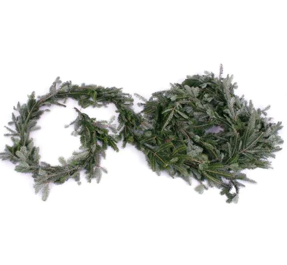 Live Blue Ridge Mountain Fraser Fir Coil Holiday Garland