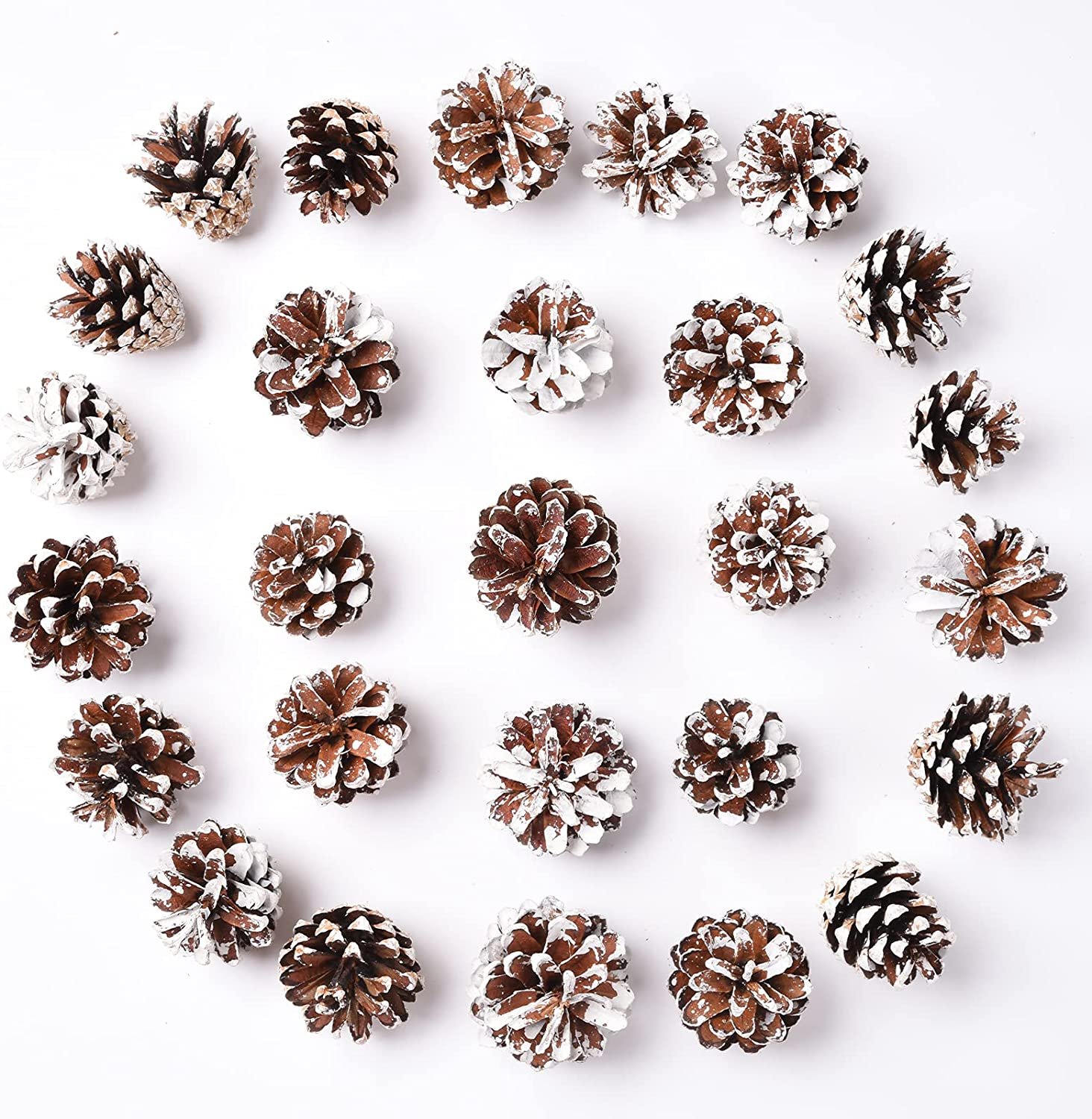 30x White-Tipped Natural Pine Cones, Amazon