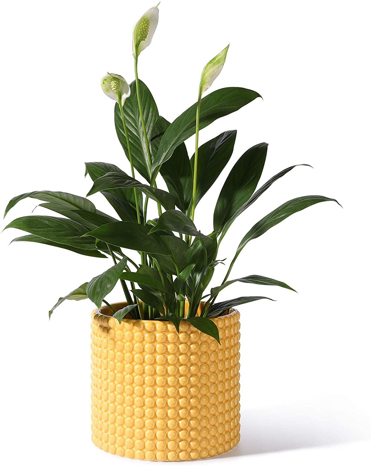 Hobnail ceramic planter