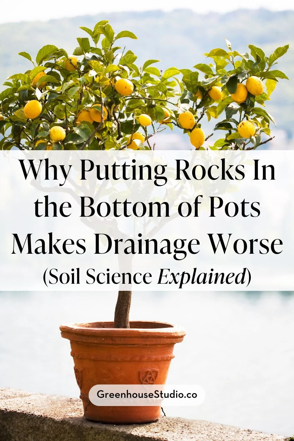 Why Putting Rocks in the Bottom of a Pot Makes Drainage Worse (Container Soils 101)