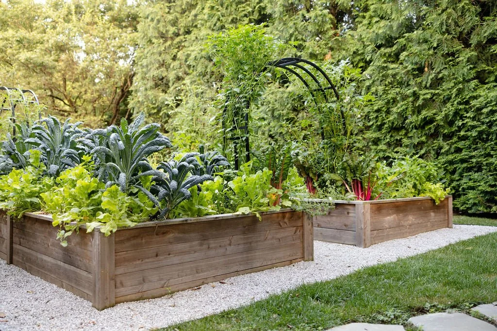Photo courtesy of Gardenary