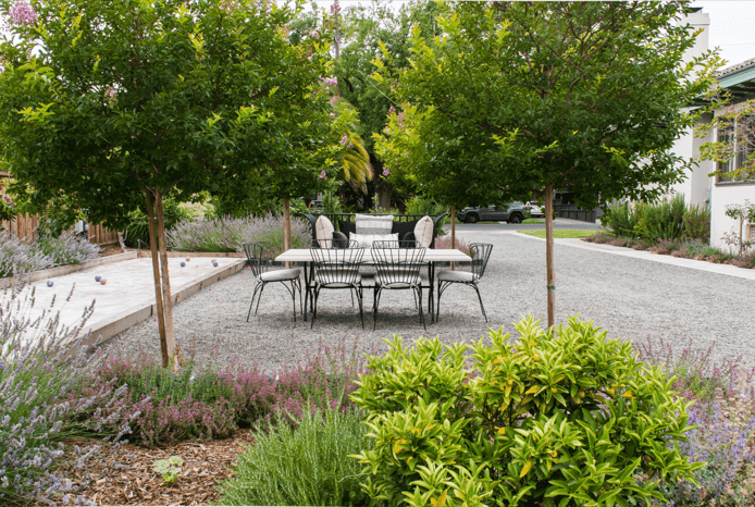 Landscape renovation emphasizing layout, paths, and planting balance