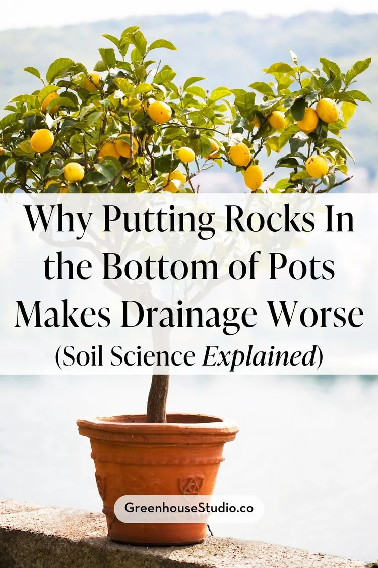 Rocks In Pot Why Putting Rocks in the Bottom of Pots Makes Drainage Worse ...