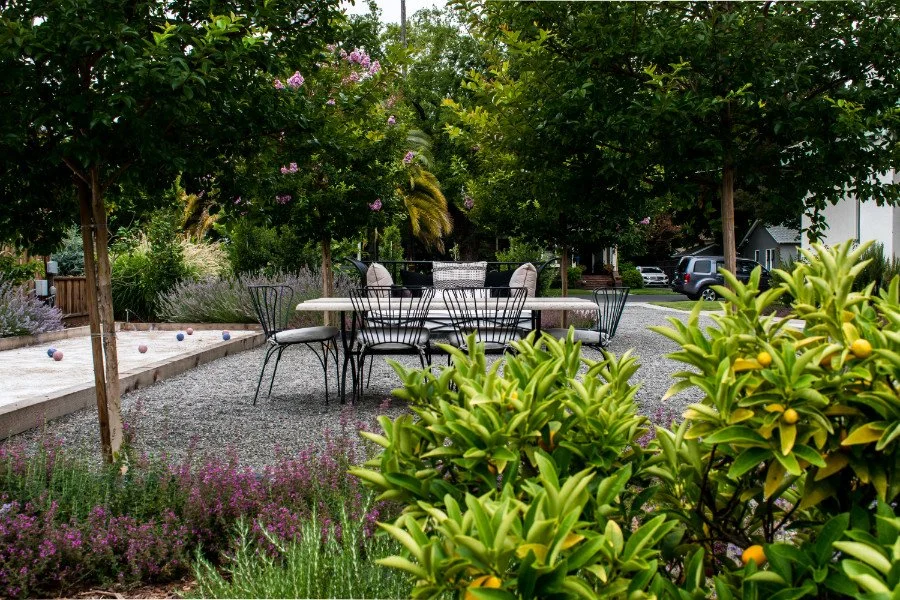 Garden room featuring lavender grape myrtles, a boggy court, and a stone dining table and chairs on a pea gravel base with kumquat citrus in the foreground