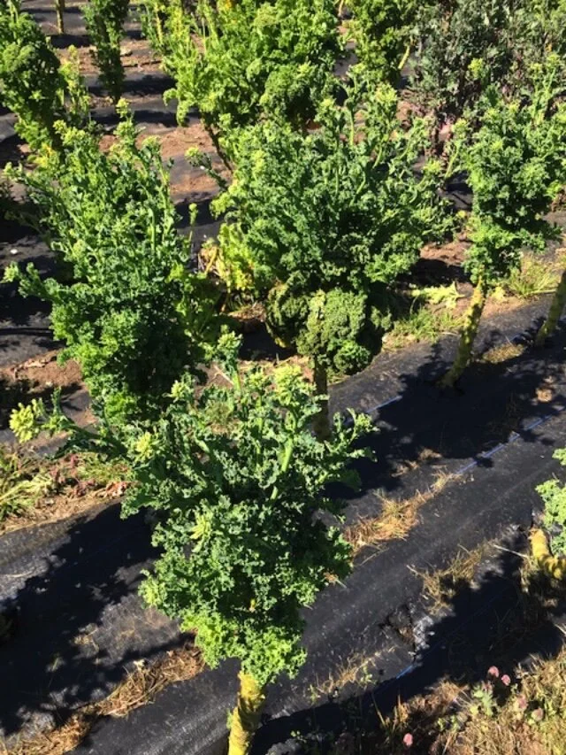 April and May are our Hunger Months