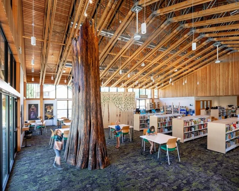 Tree inside Winthrop Library
