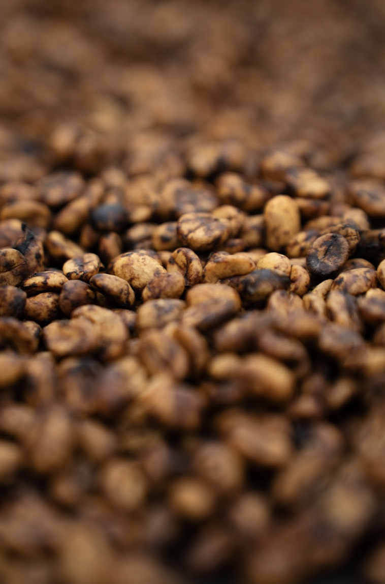 Screenshot 2025-05-30 at 12.19.22 PM.png