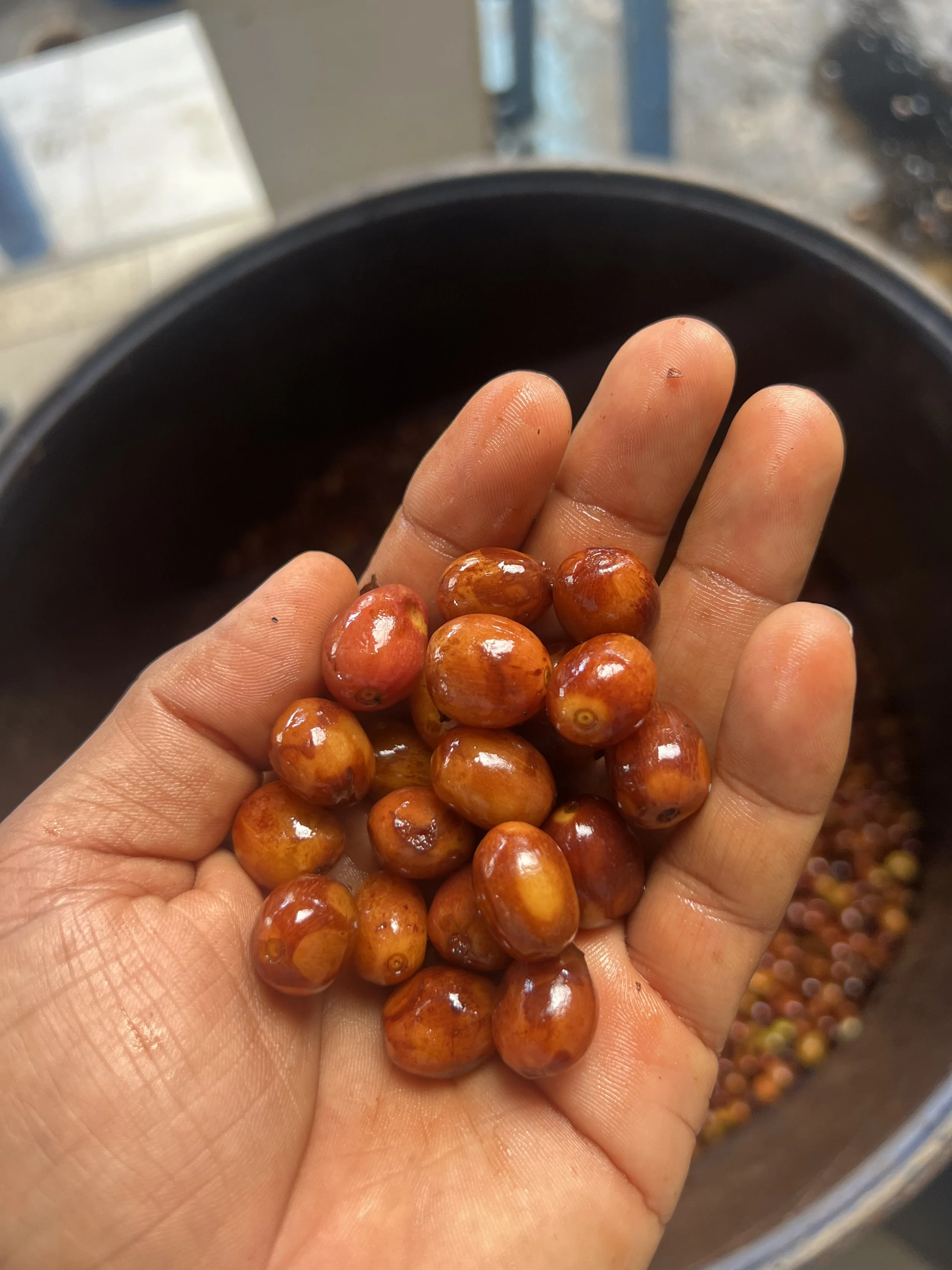 thermal fusion .jpeg