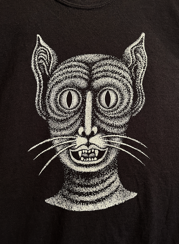 cat-close.png