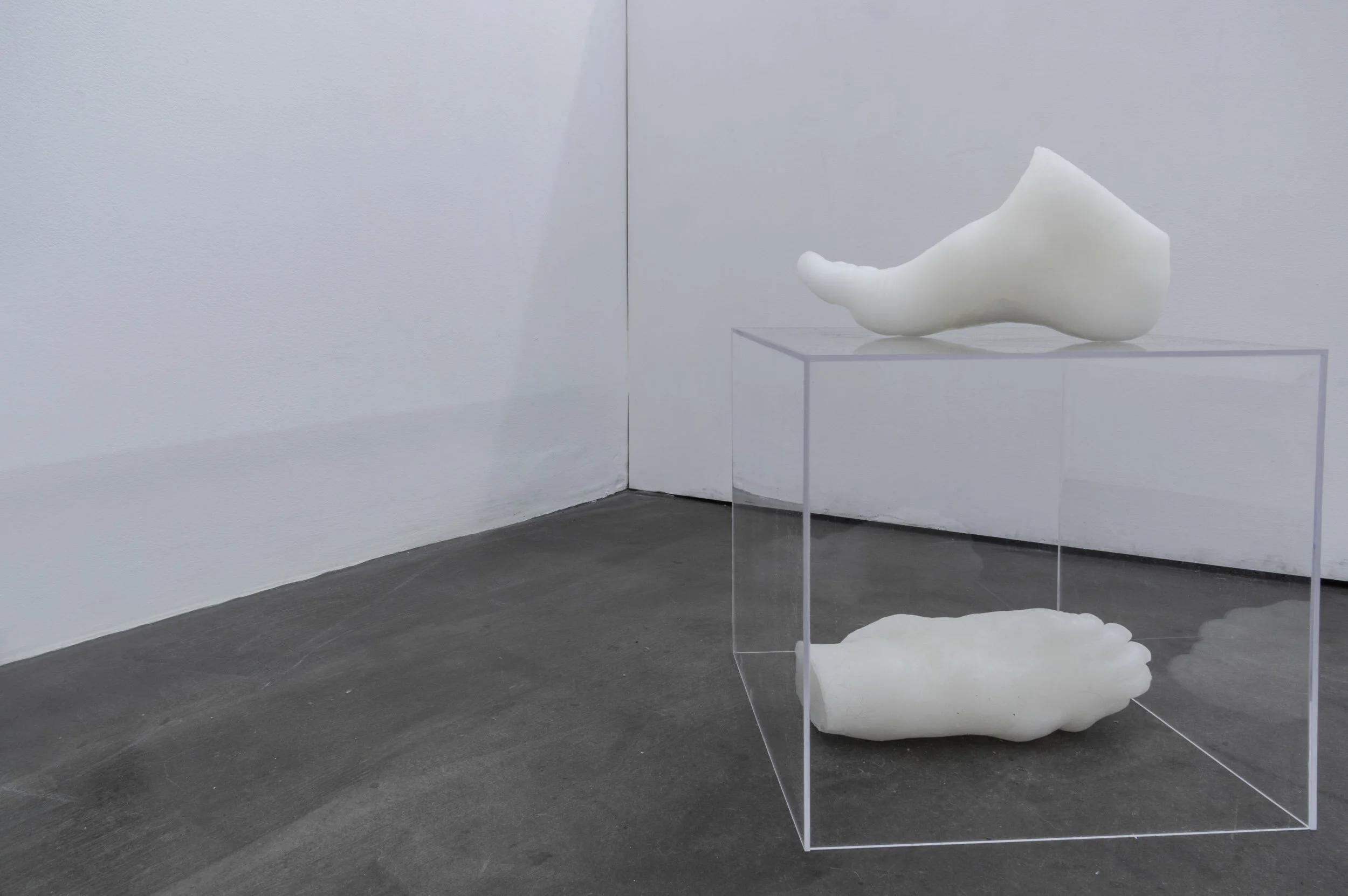 Brice-Brown-Paris-Exhibition-at-Air-Circulation-By-Adrien-THIBAULT-HD-40.JPG