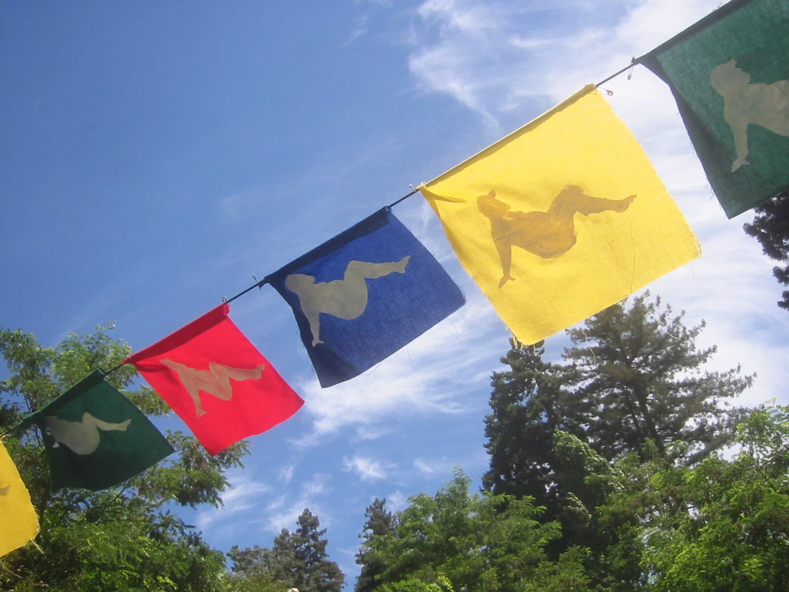 bearflags.JPG