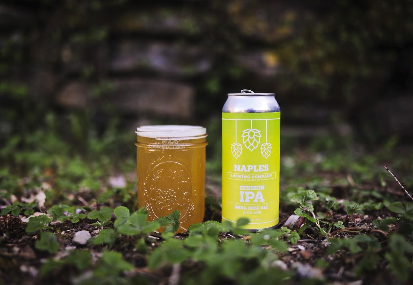 Cans of our Session IPA are back in stock this weekend! Crisp and with a lower ABV than other IPAs, this one is loaded with Pilsner malt from @murmurationmalts and Paradigm hops from @cobblestonehops. 

We&rsquo;ll be here from 1-6, with charcuterie 