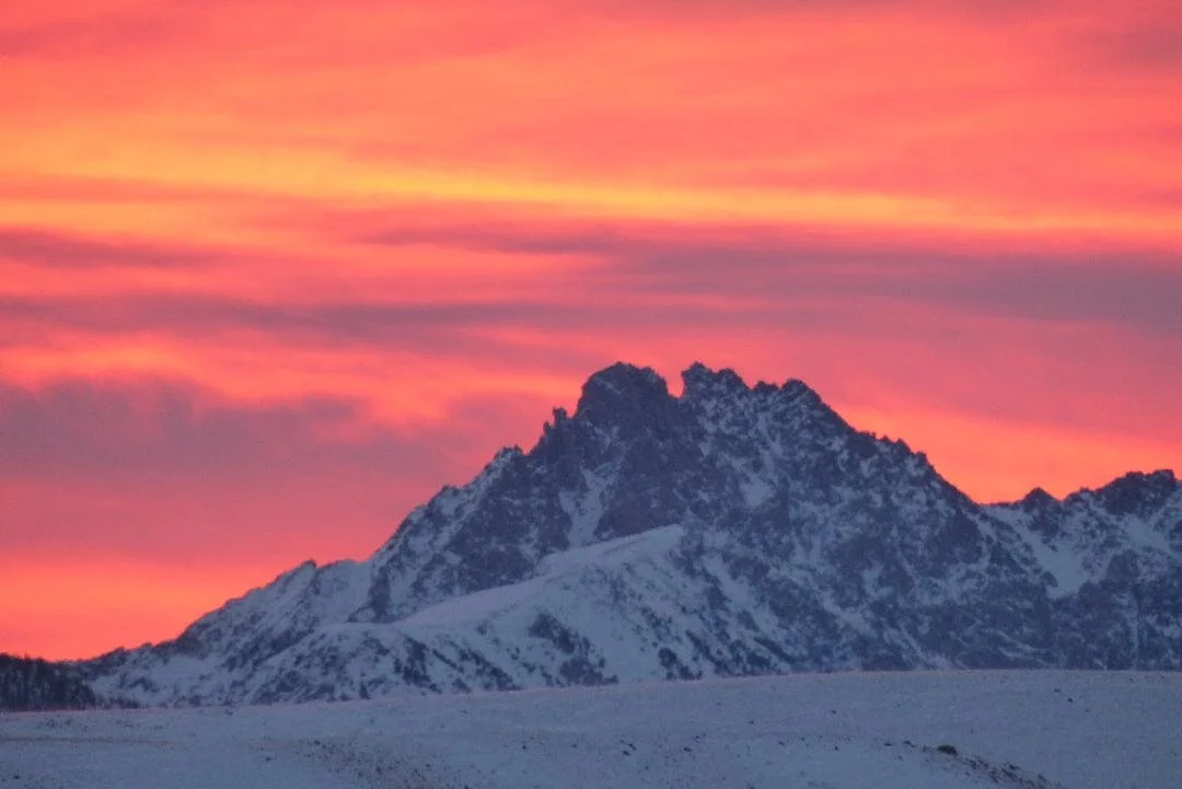 Cold Prevails but Bluebirds Herald in Spring