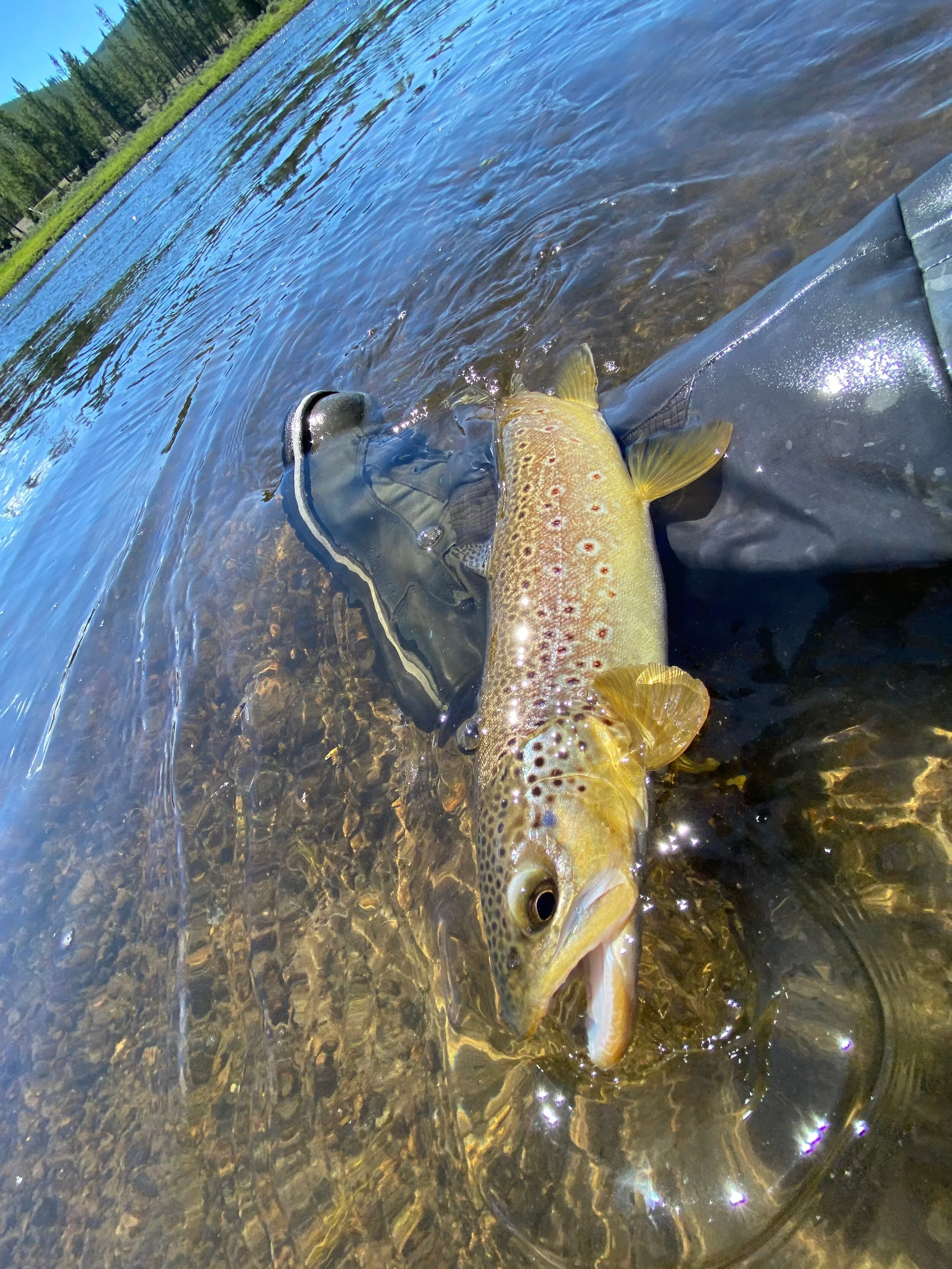 Help Support The Montana Water Rights Protection Act