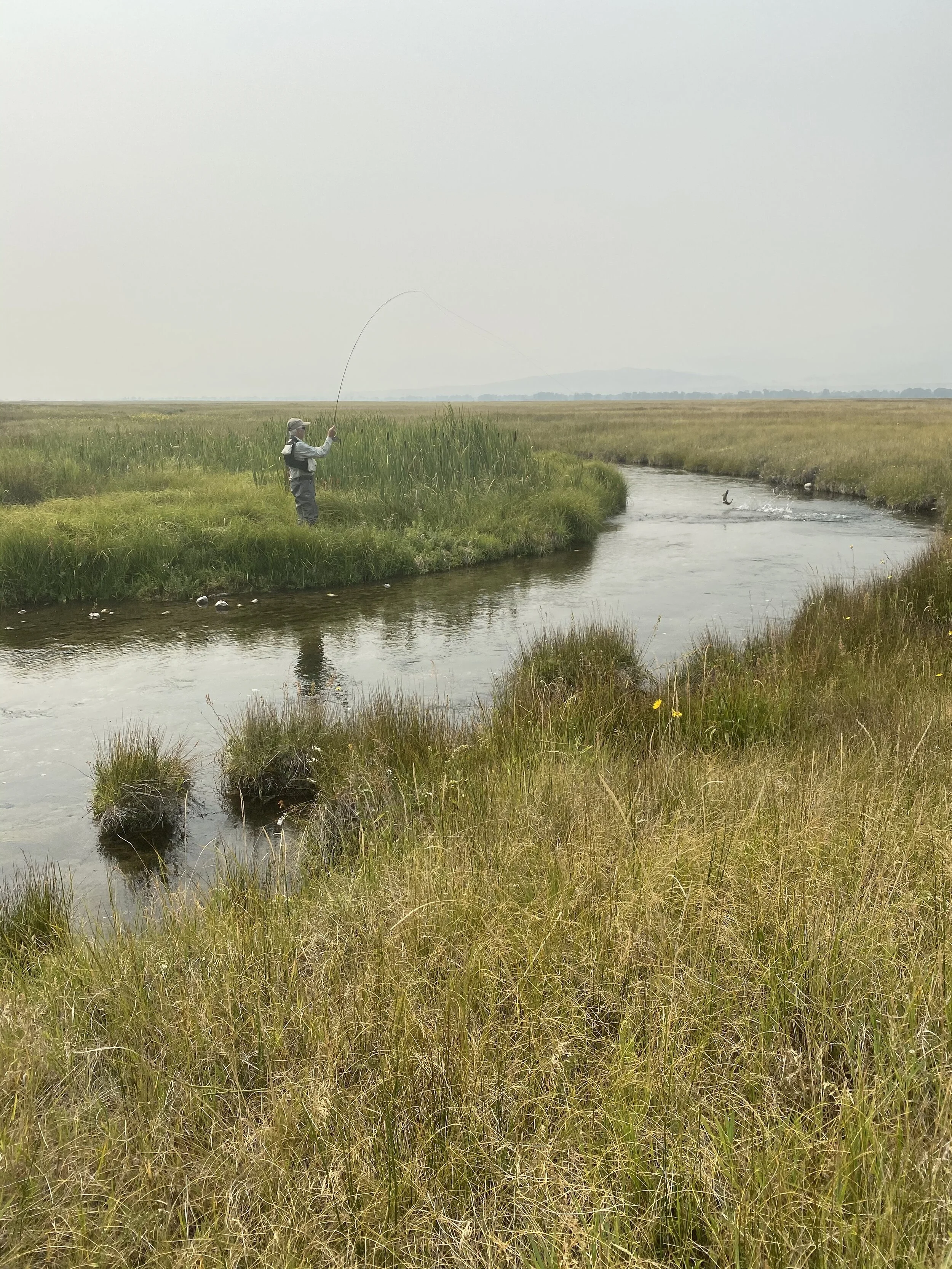 Call to Action, The Time to Act is NOW!