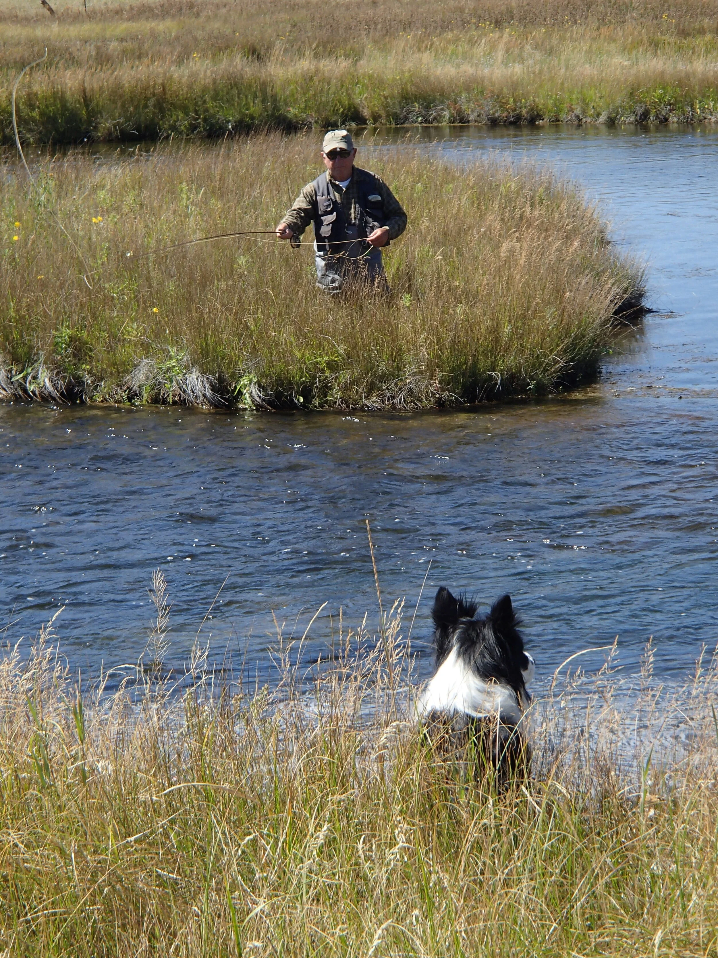 THE POWER OF OBSERVATION