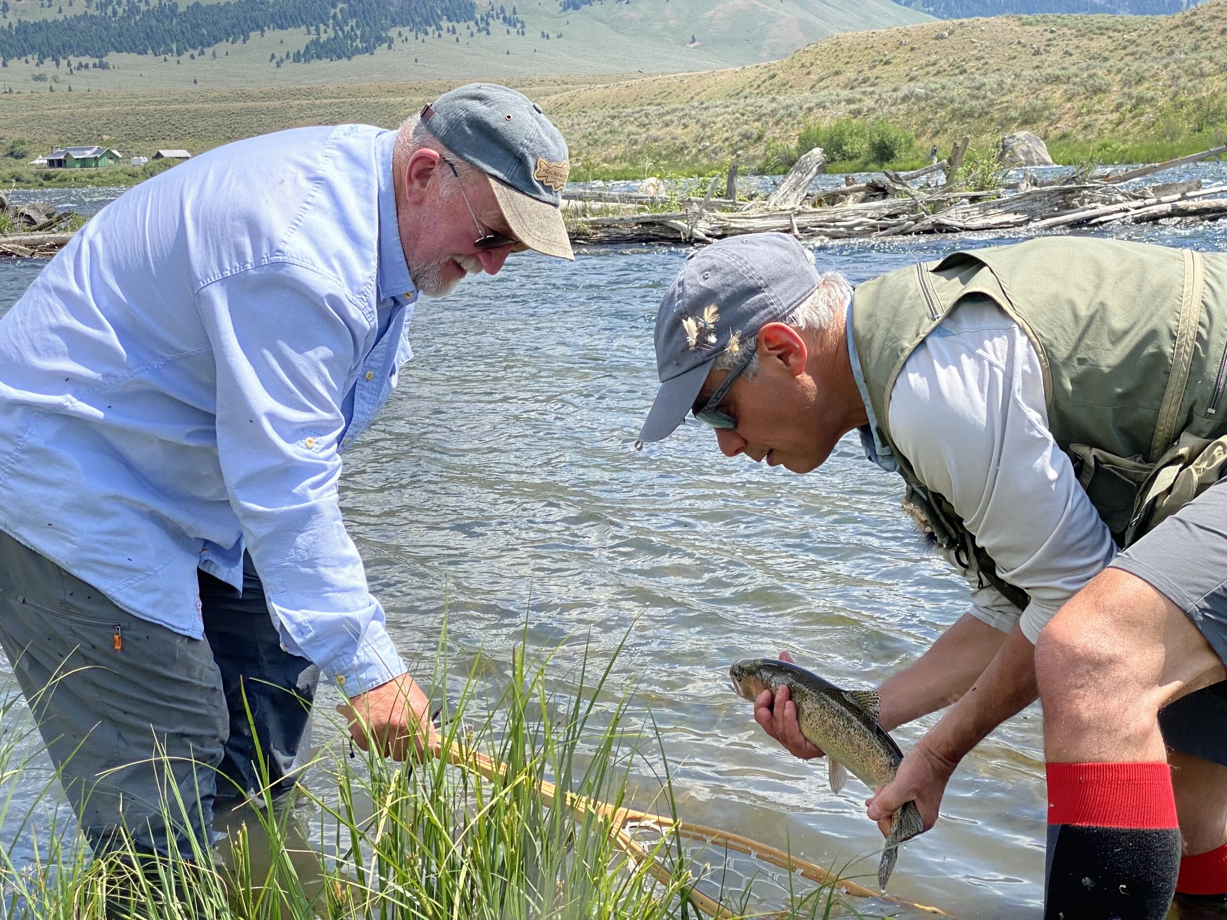 Observation, Approach, and Presentation — YELLOWSTONE CONSERVATION AND ...