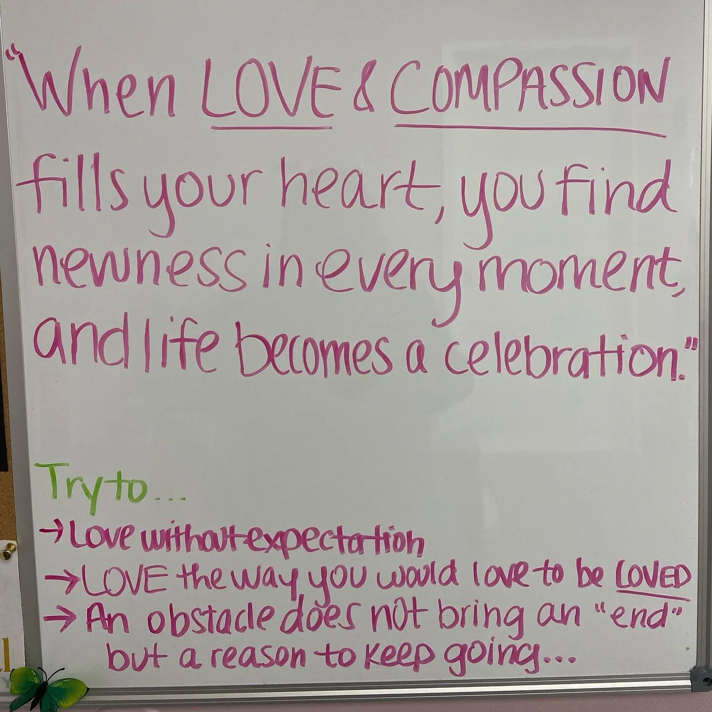 #QuoteofTheWeek 📝 &ldquo;When love and compassion fills your heart, you find newness in every moment, and life becomes a celebration.&rdquo; 🌟 
*
*
It has been a while since you have seen a post from us on IG👀 ... But in the spirit of Valentine&rs