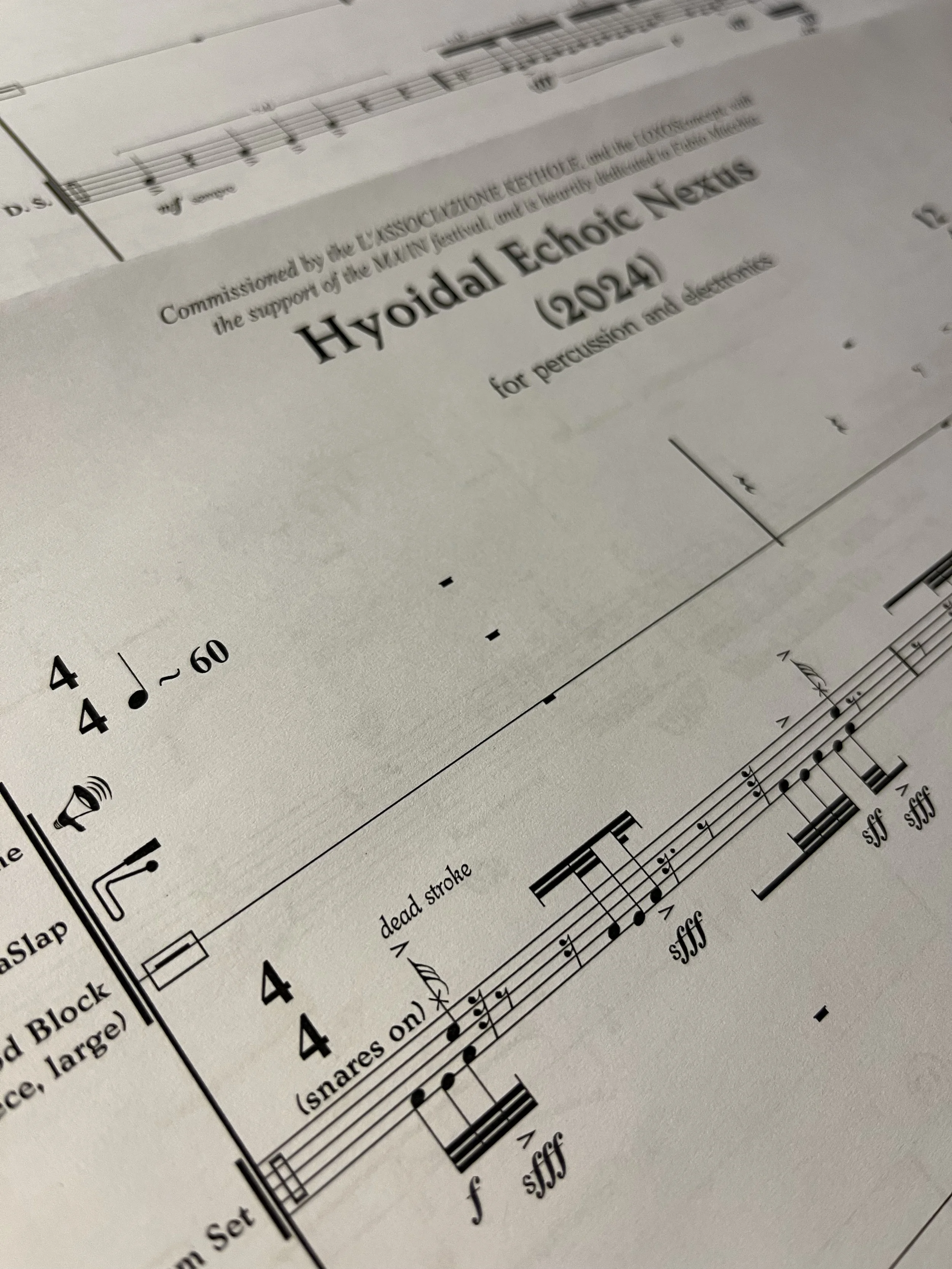 Hyoidal Echoic Nexus (2024)