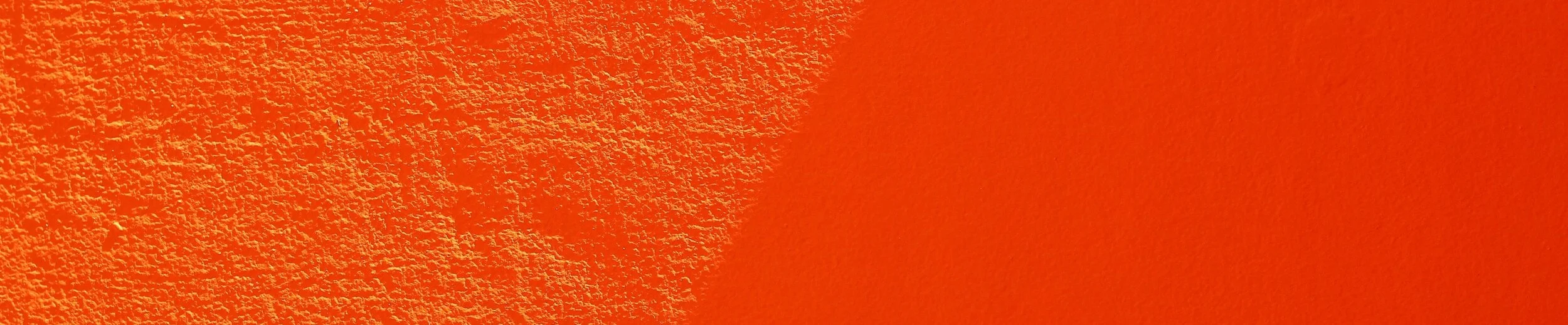 felipe-vieira-PI3Jbv1hBlA-unsplash copy 4.jpg