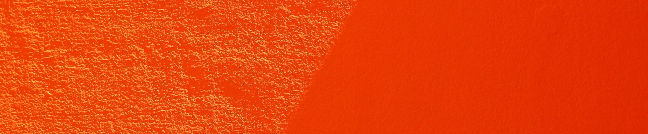 felipe-vieira-PI3Jbv1hBlA-unsplash copy 4.jpg