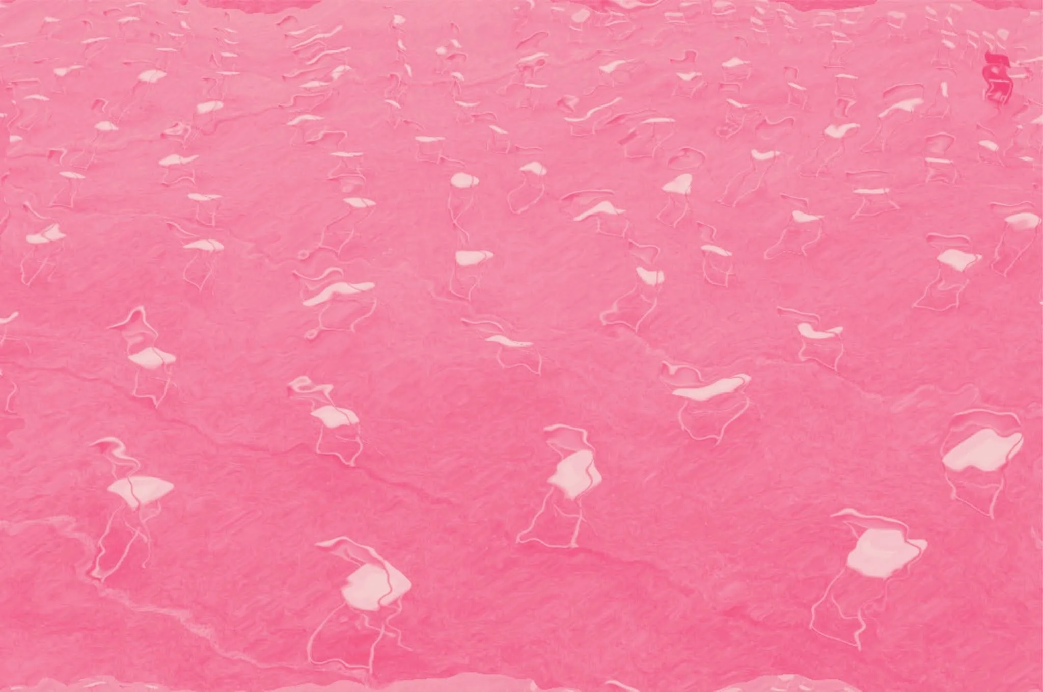 Untitled design (14).jpg