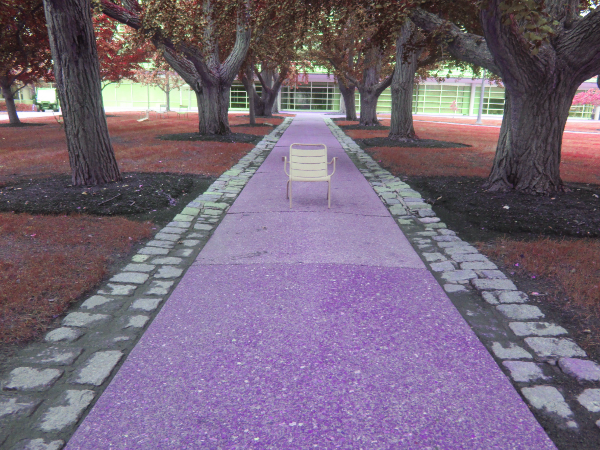 Untitled design (4).png