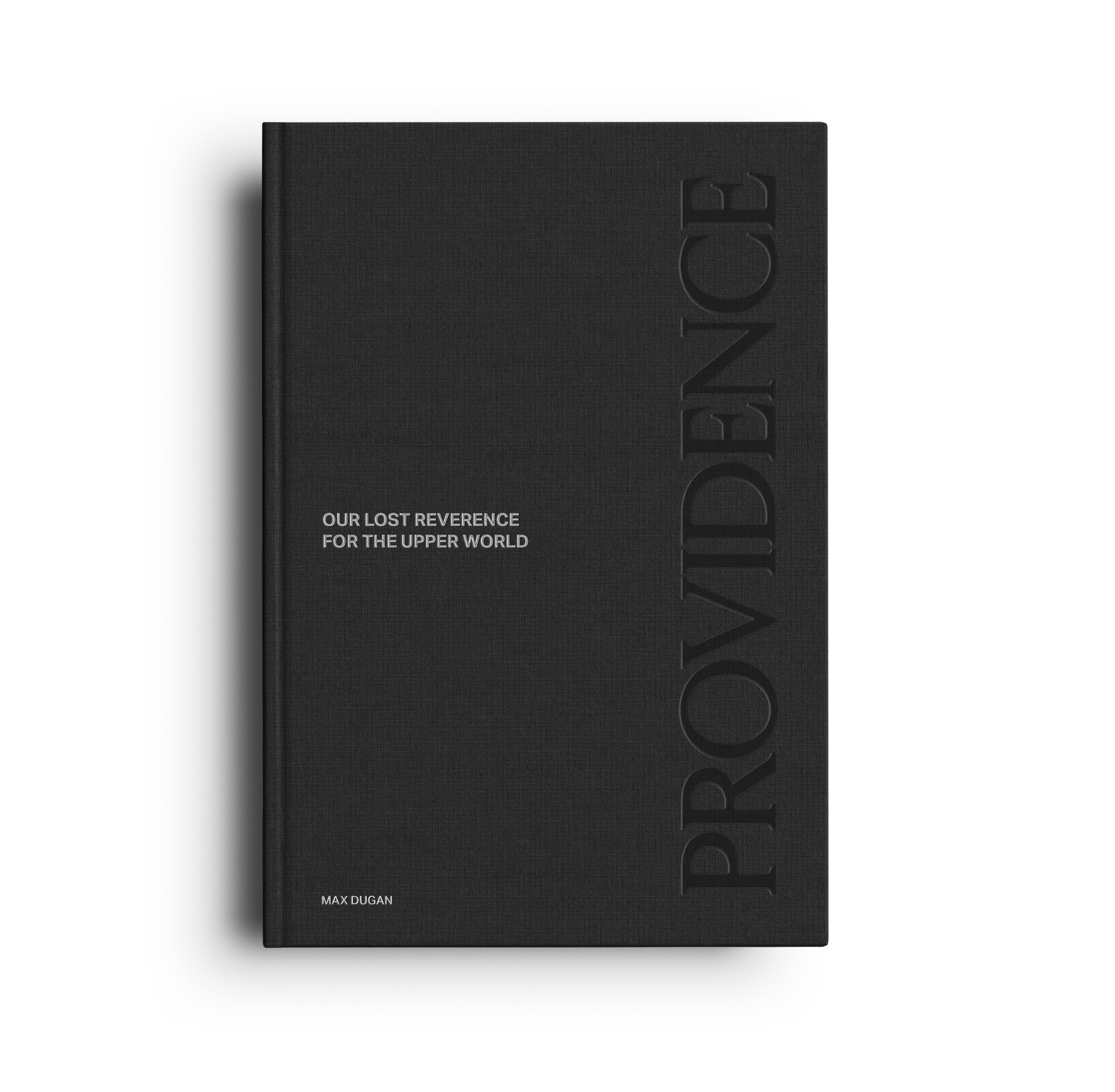 book cover.png