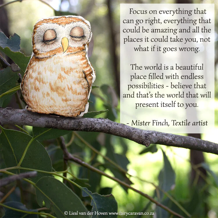 Owl-wisdom-web-v2-IMG_8180.jpg