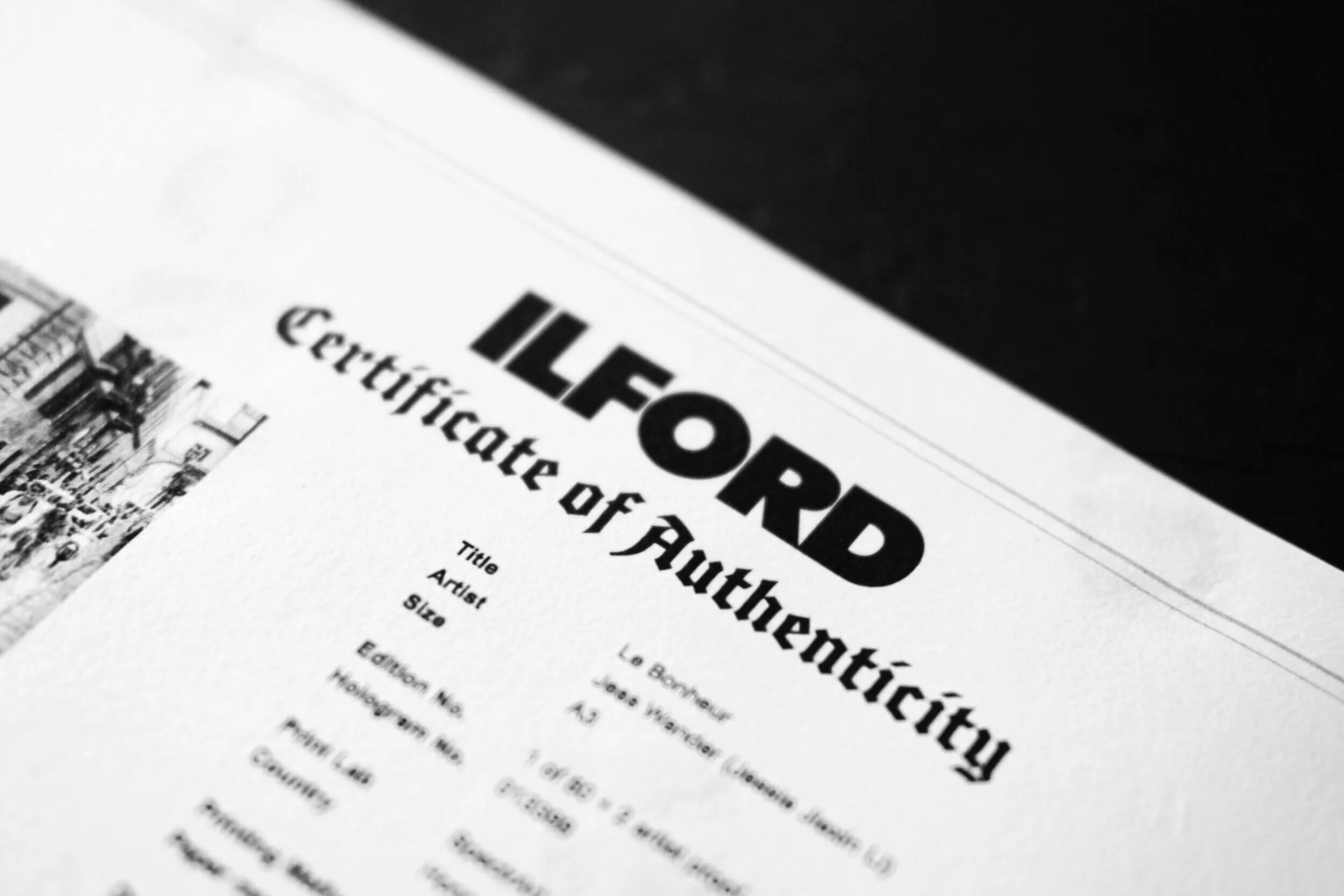 Limited Edition Certificate