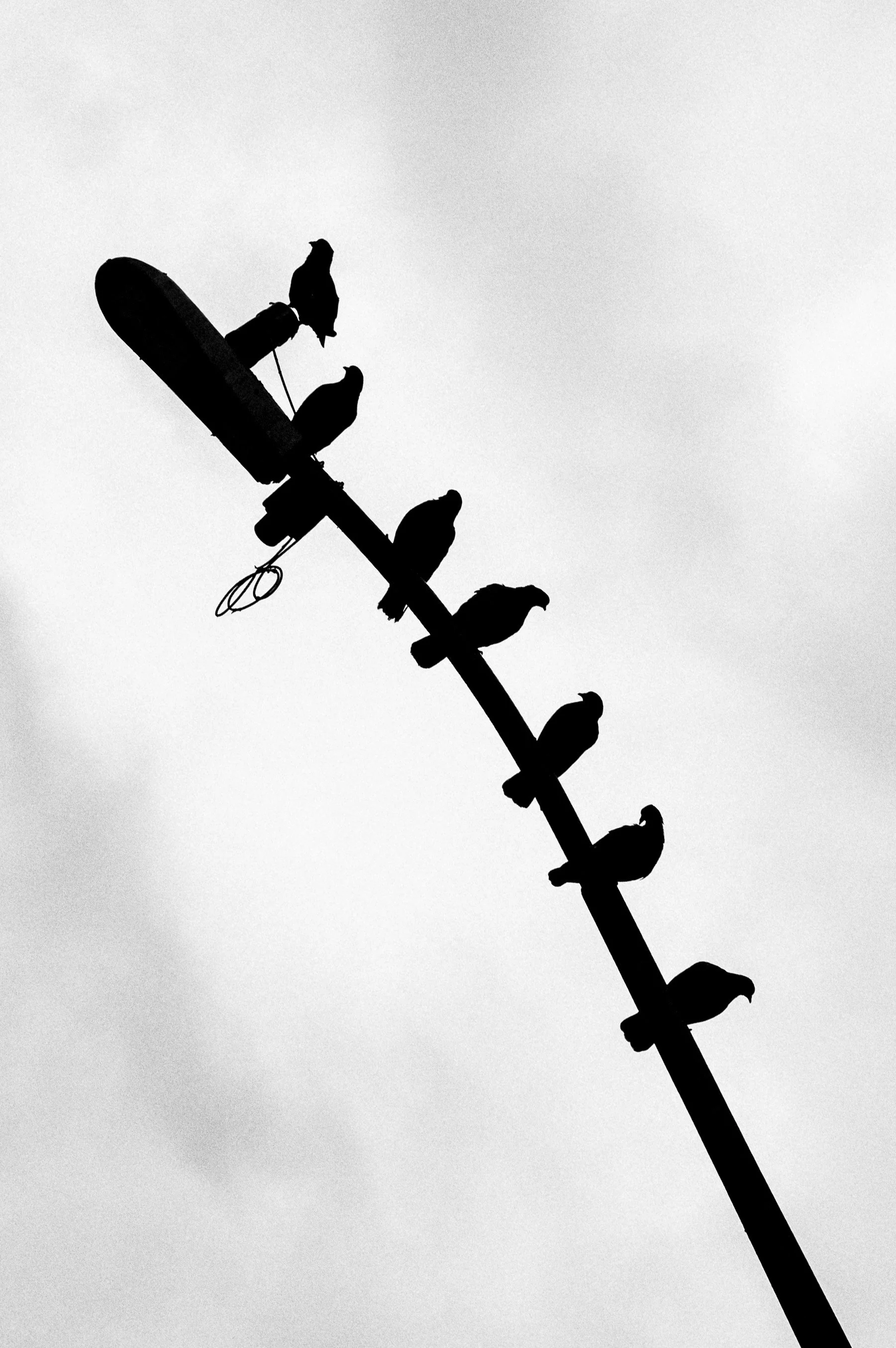 L1000355.jpg