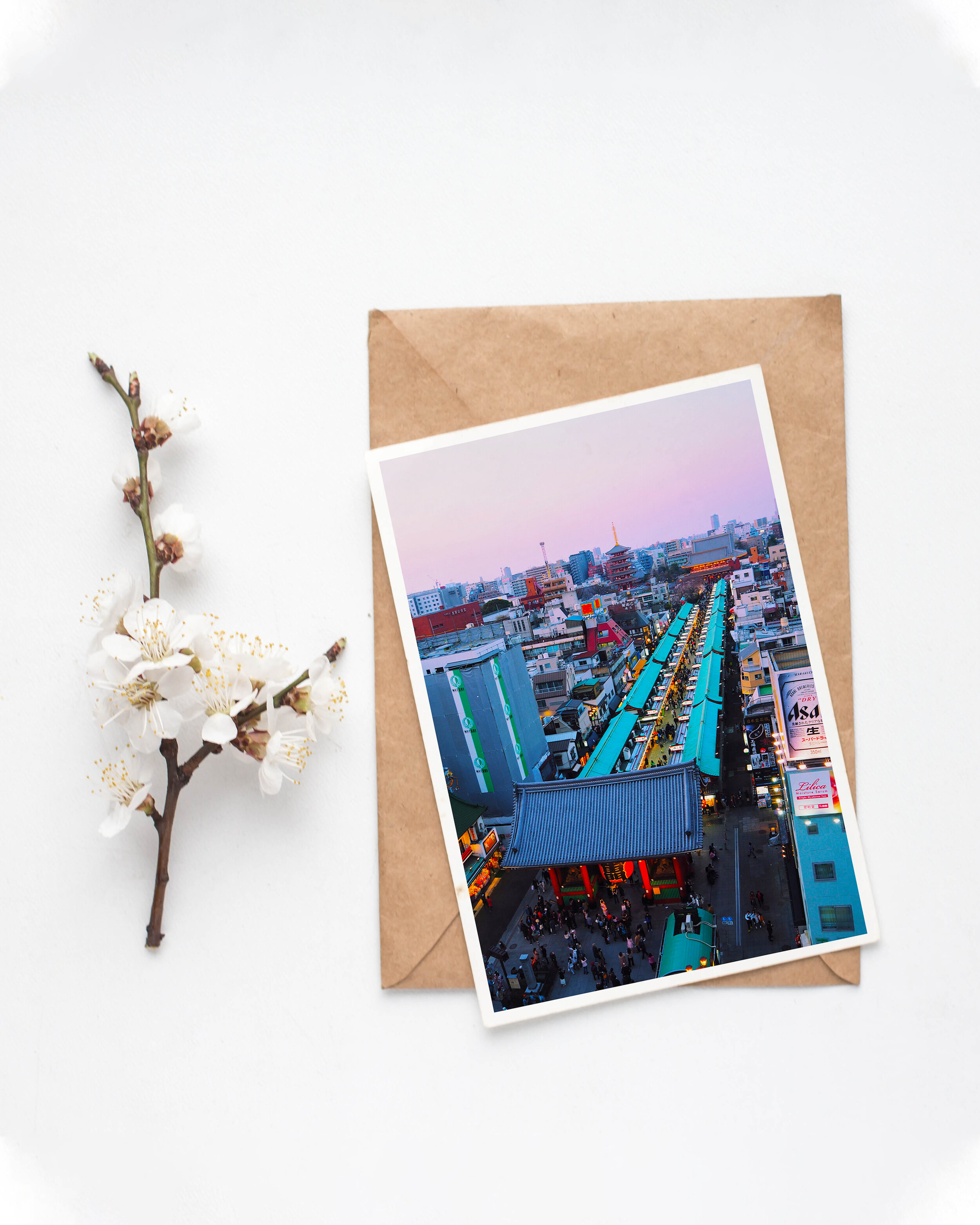 Sensoji-flower-with-border.jpg