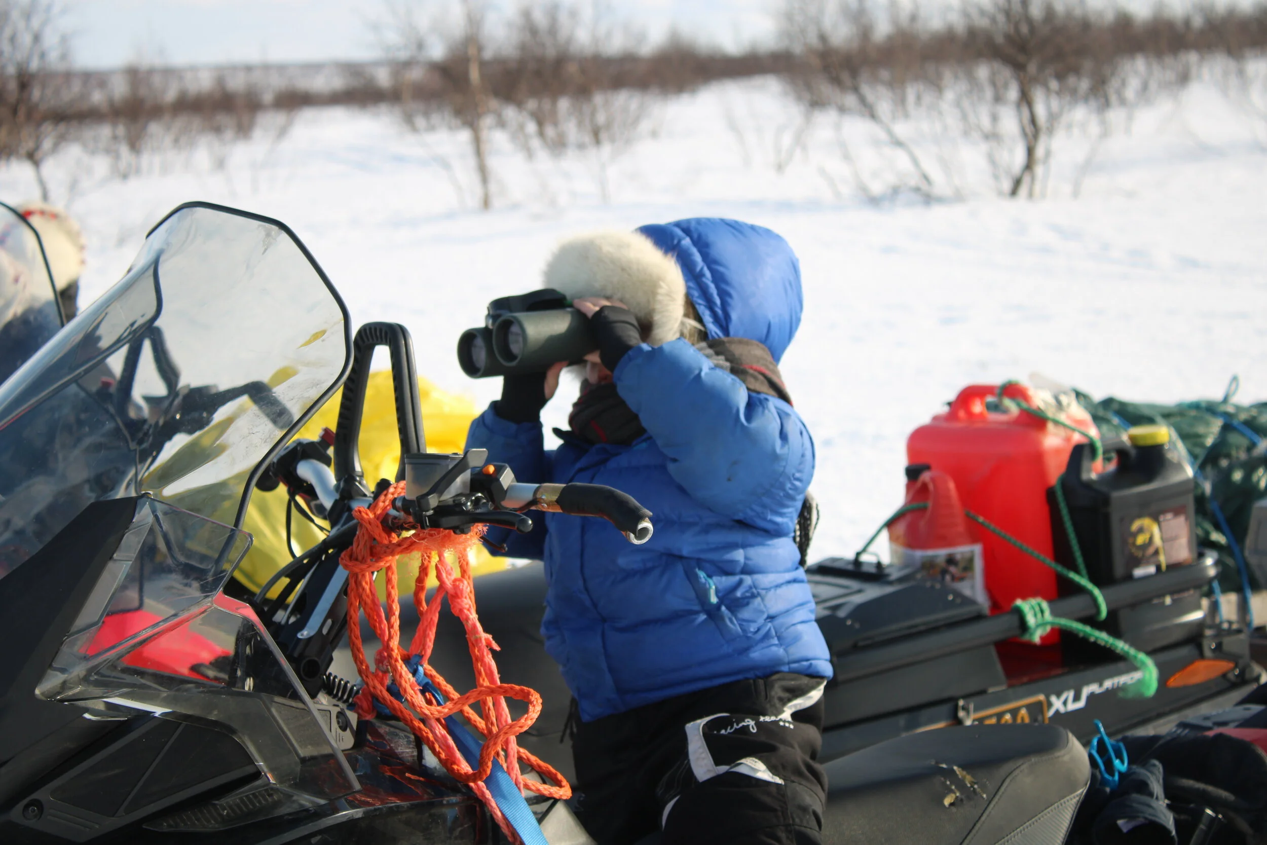 Juhán Ailu, the next generation of reindeer herders.