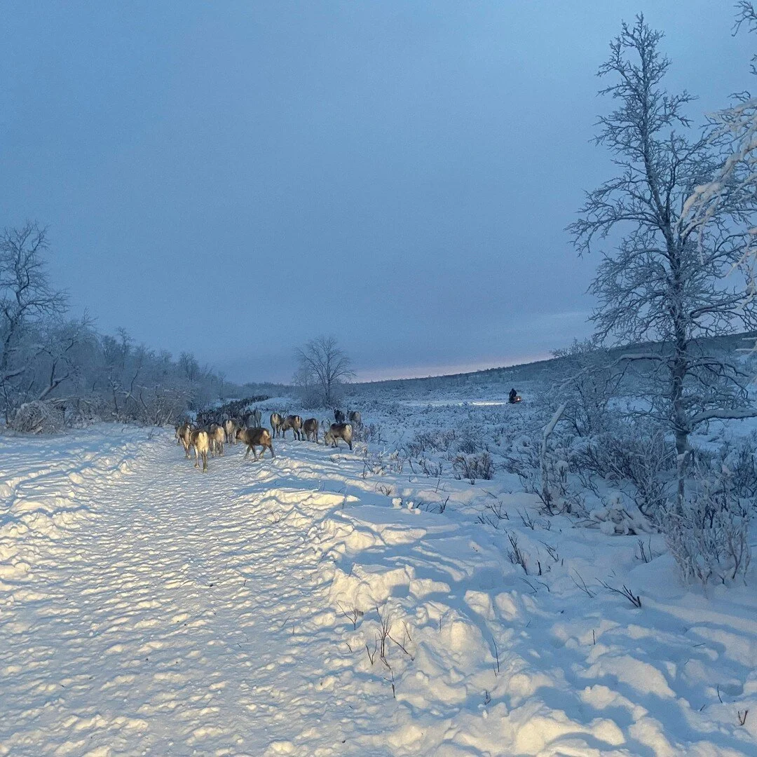Áldu AS ble etablert i januar 2020, og vi kombinerer reindrift og turisme for å videreformidle vår kultur og levesett. Vi ønsker å gi dere et fantastisk eventyr blant annet under reinkalvingen i Karasjoks vakre natur.
