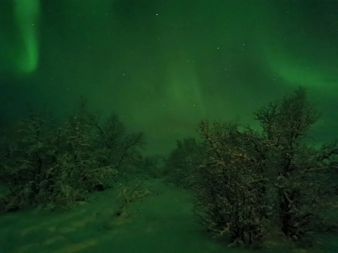 Nå er flokken endelig på vinterbeitet, juhu!🎉 Flyttingen gikk bra, selv om det ble noen kalde netter med gjeting.❄ Deler av familien feiret nyttårsaften på vinterhytta, med stjerneskudd og klar stjernehimmel, mens vi ø