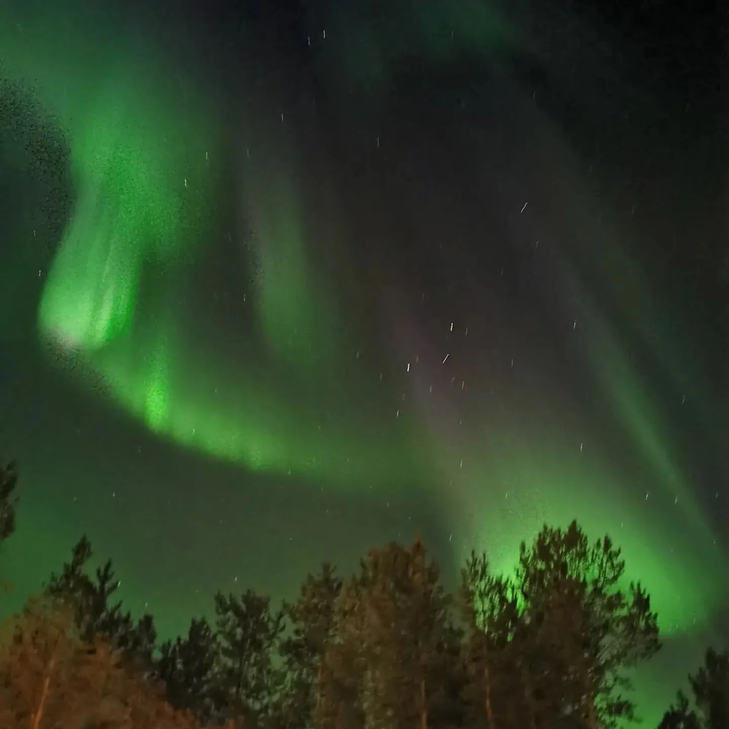 Guovssahasat 💜💚
#northernlights #aurora #Sápmi #northernnorway #visitnorway