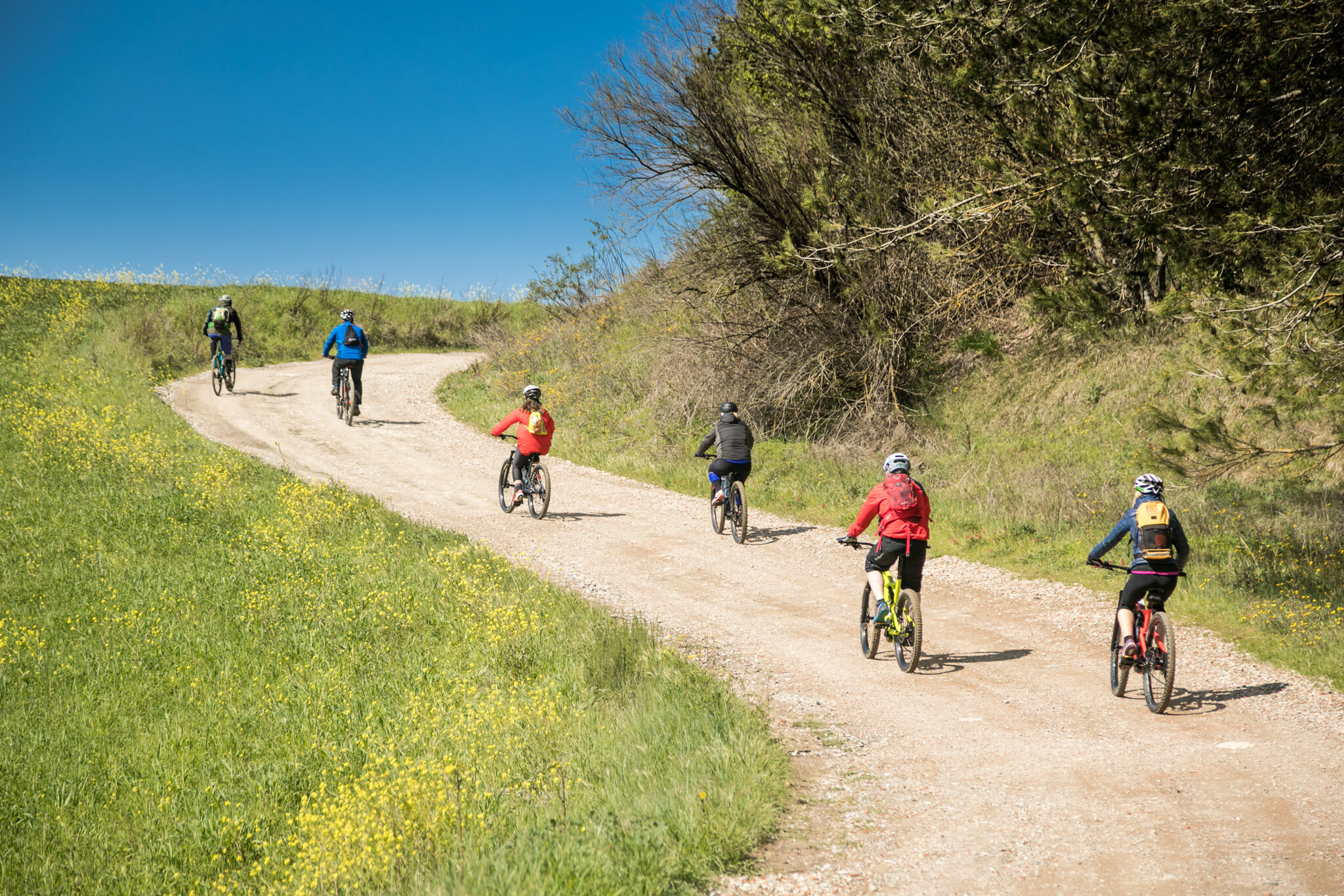 Guided e-bike tour to San Miniato famous for white truffle and Via Francigena in Tuscany