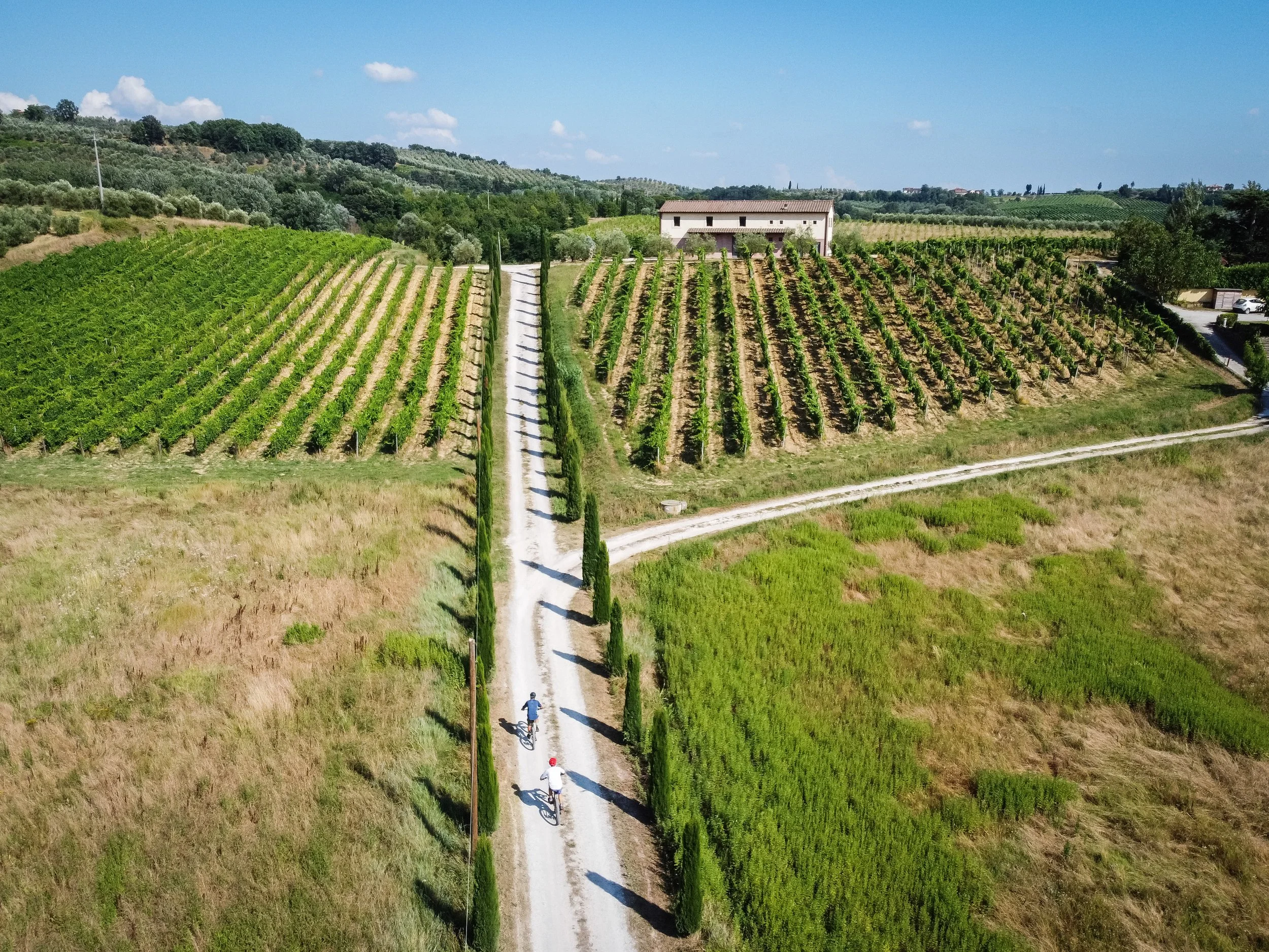 Guided e-bike excursion in Montespertoli through Chianti vineyards with wine tasting