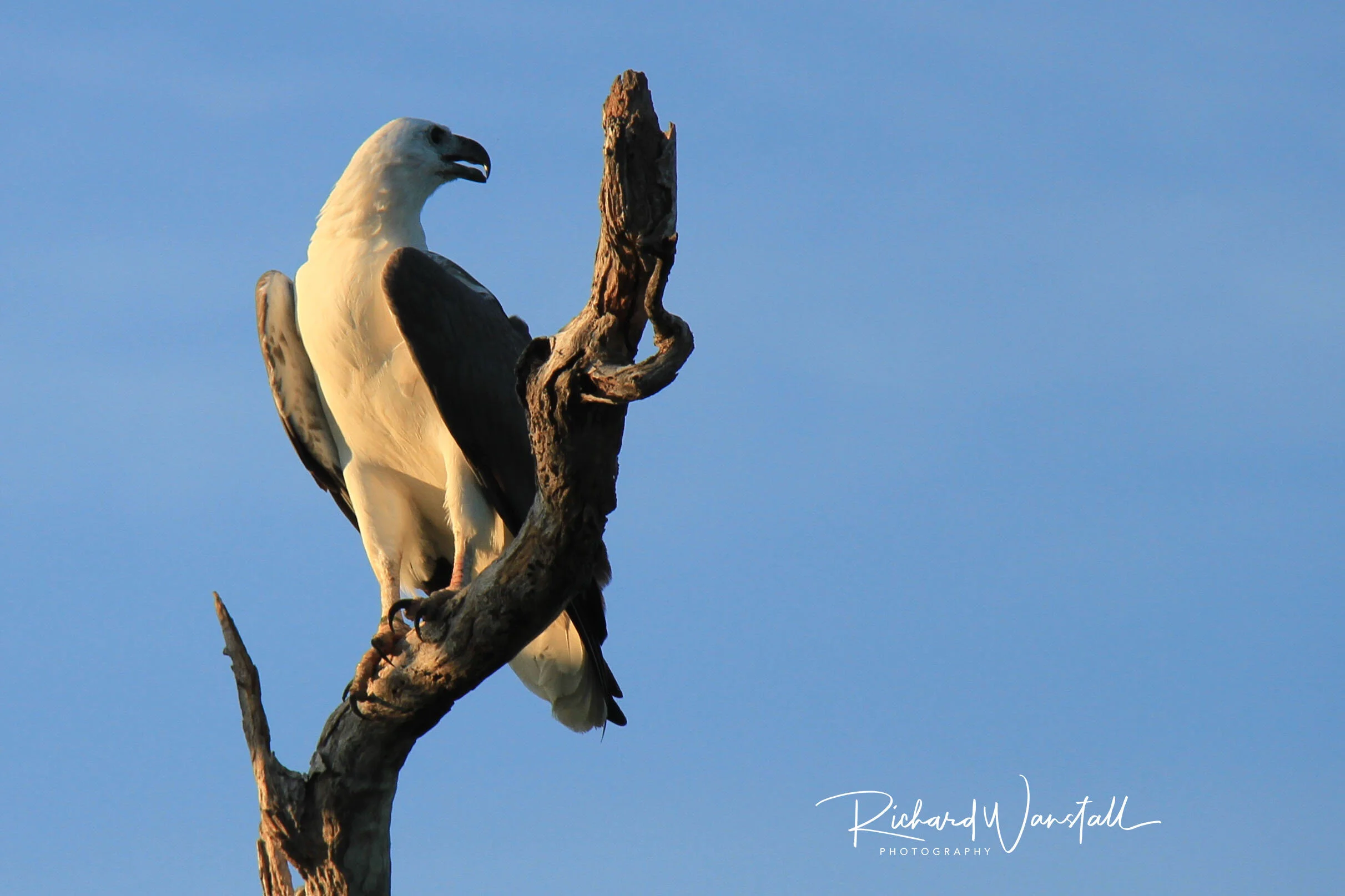 Kakadu National Park, Australia