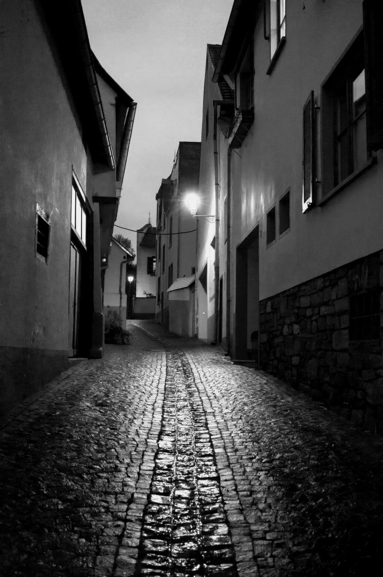 Vines & Vintage - Germany