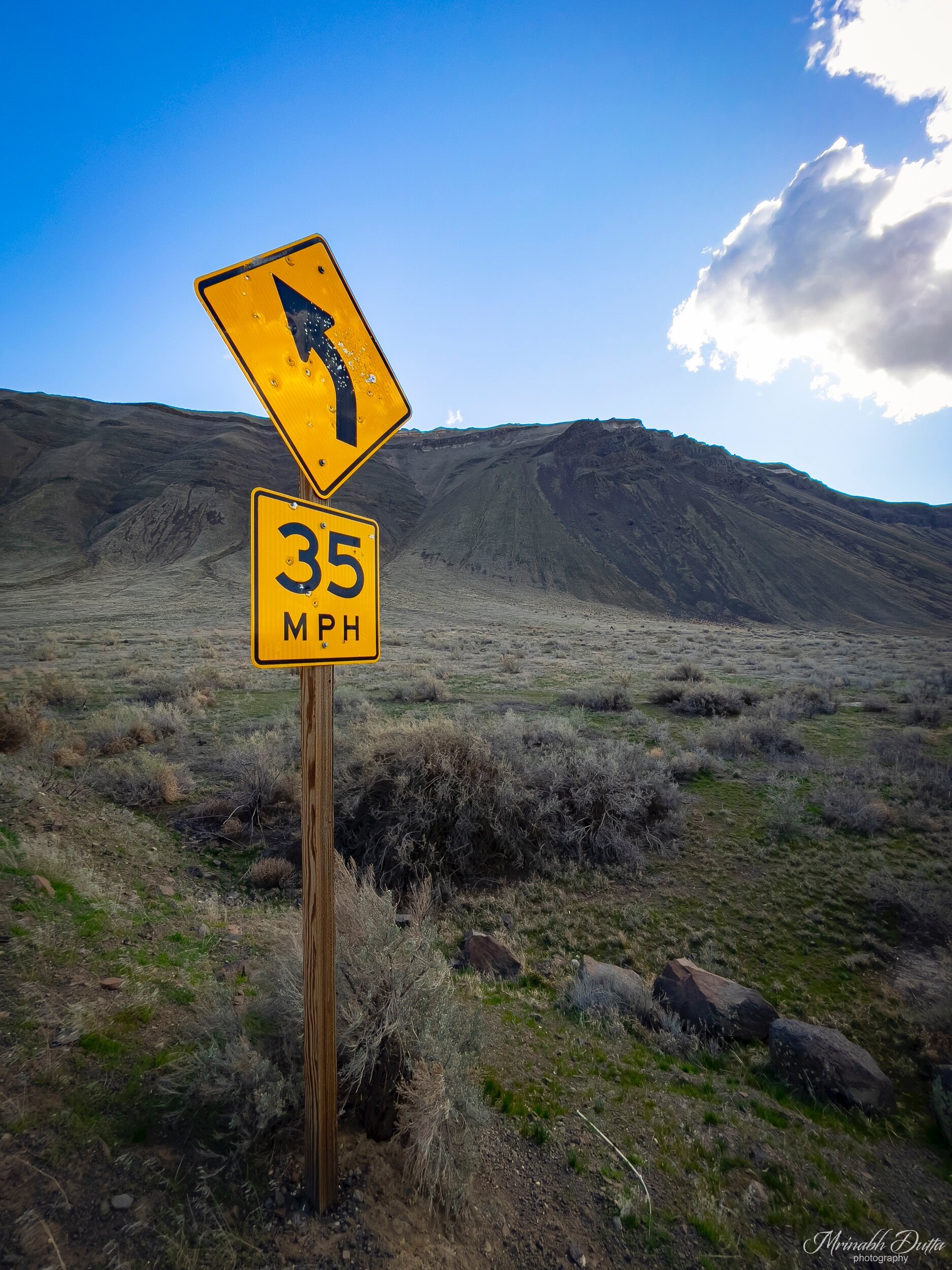 The successful search for the Sun