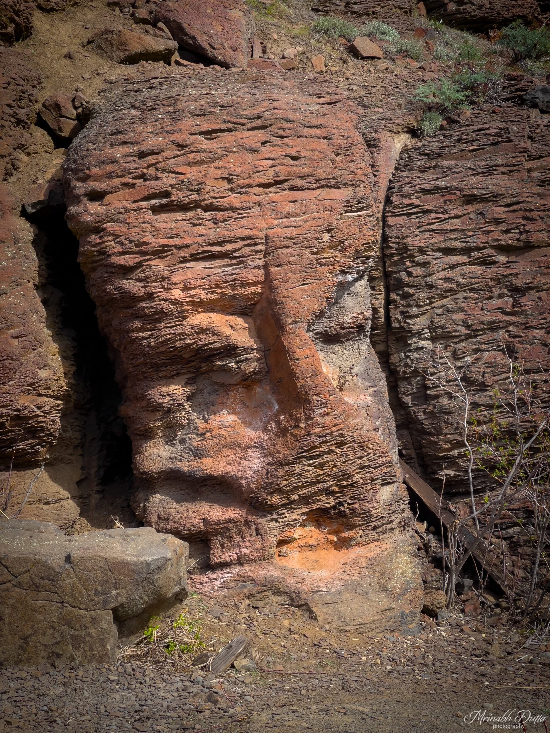 A petrified face