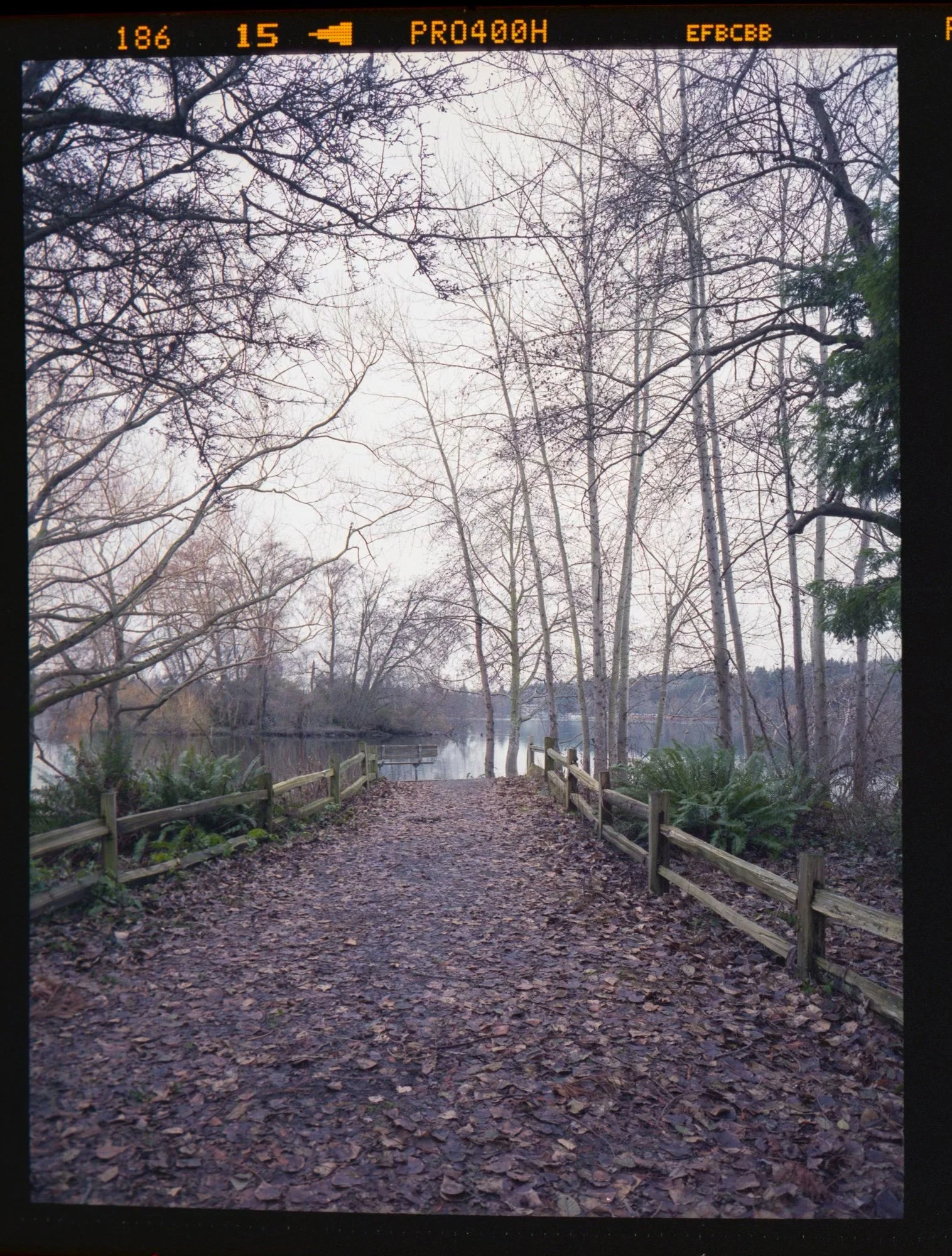 Greenlake (Film/Analog)