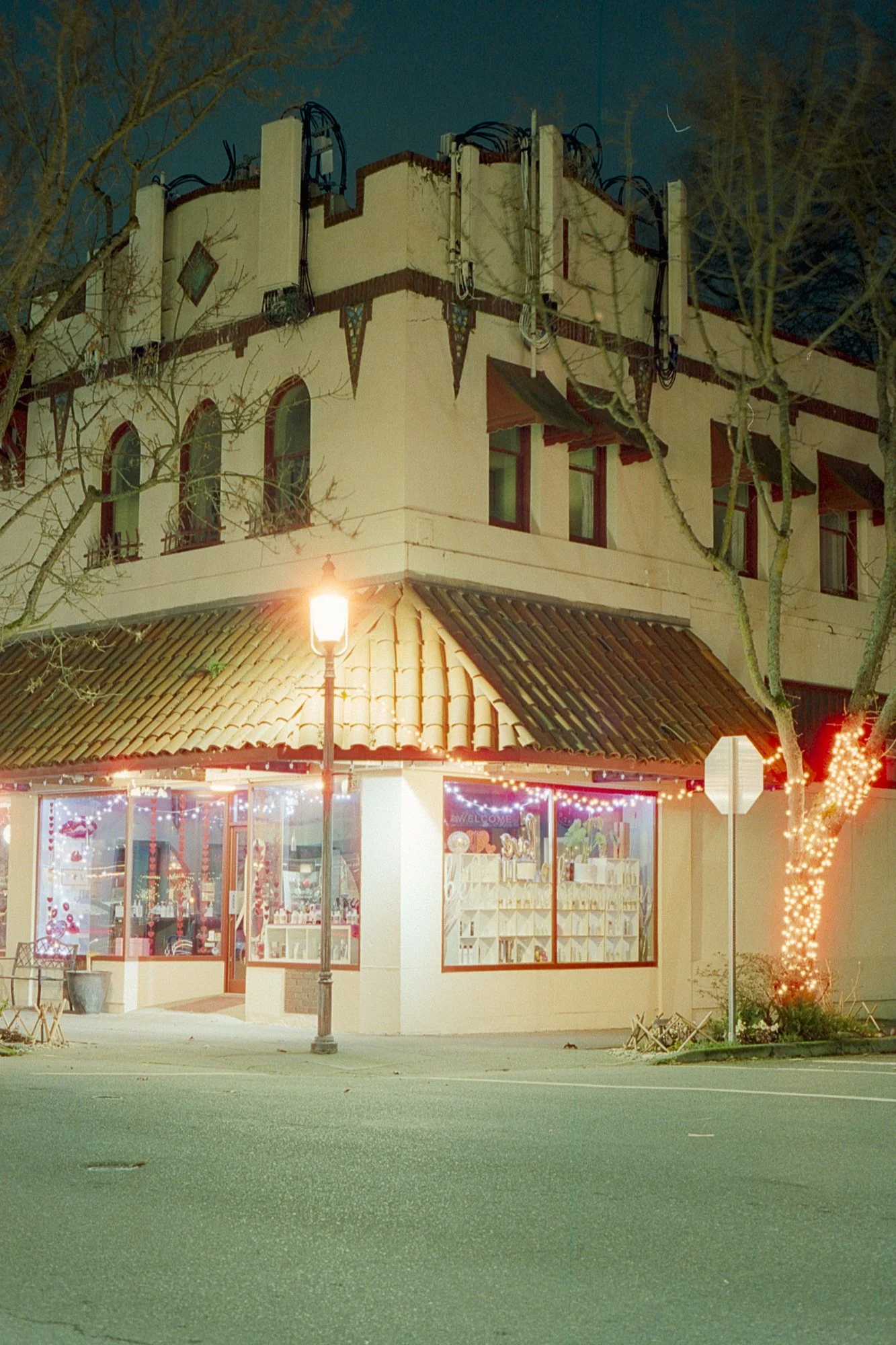 Tungsten experiments (feat. CineStill 800T)