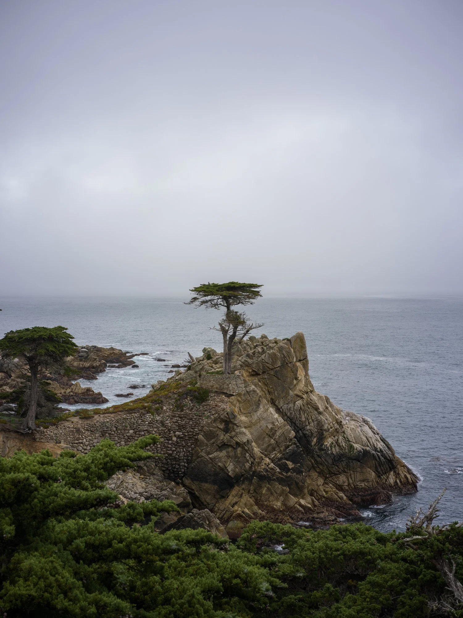 B0004389-2.jpg (Copy)